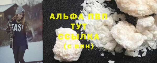 амф Магас