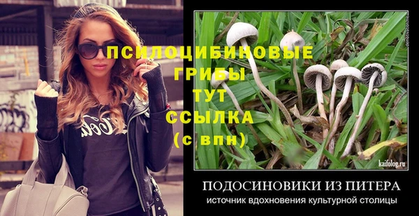 ешки Липки