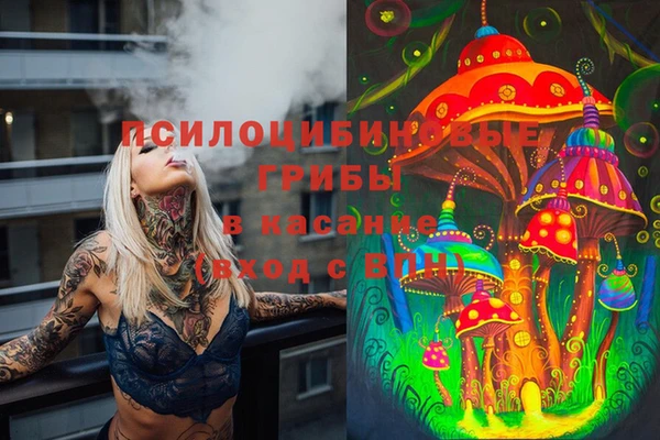 спайс Майский