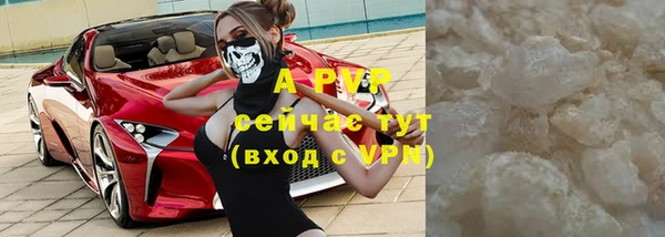 амф Магас